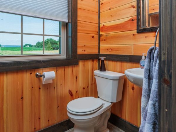 Rustic-style bathroom with wood walls, single toilet, and small white sink below a window.
